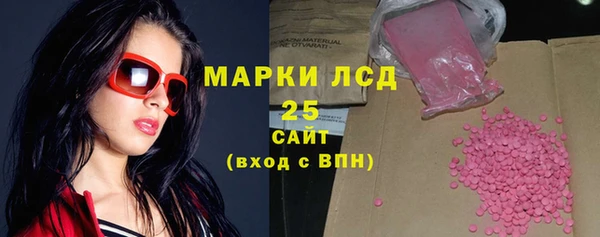 spice Ельня