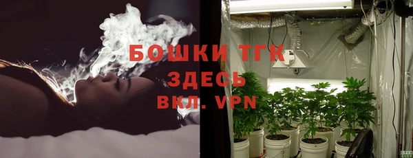 spice Ельня