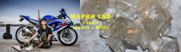 spice Ельня