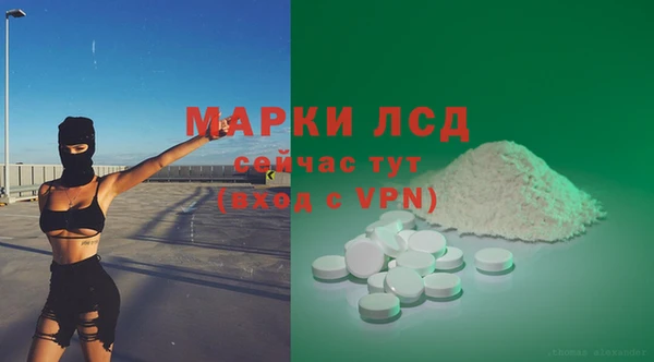 гидропоника Елабуга