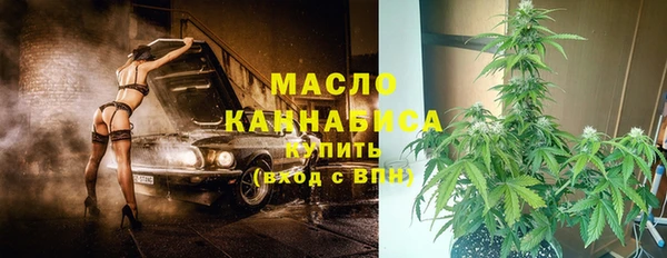 гидропоника Елабуга