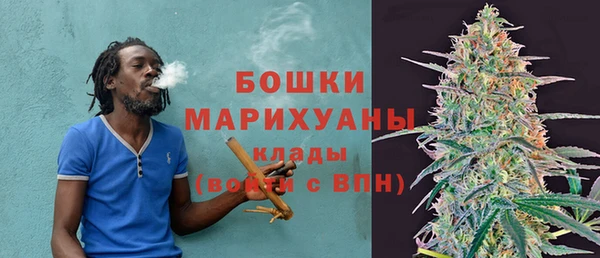 гидропоника Елабуга