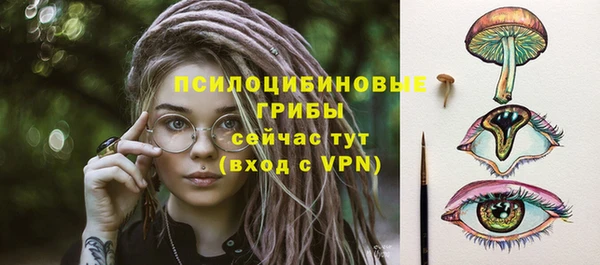 2c-b Елизово
