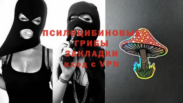 2c-b Елизово