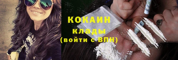 spice Ельня