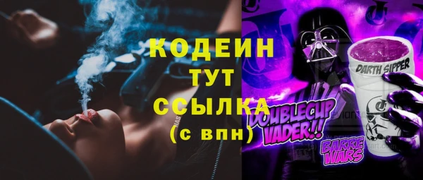 гидропоника Елабуга