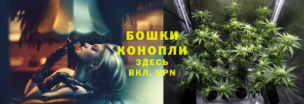 гидропоника Елабуга