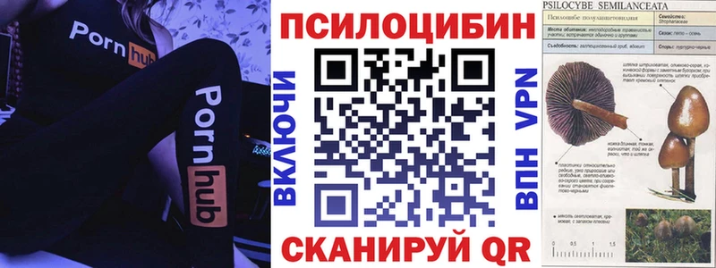 Псилоцибиновые грибы Psilocybine cubensis  даркнет сайт  Кемь 