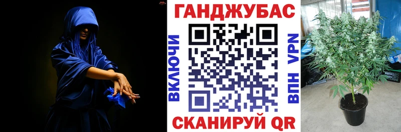 закладка  блэк спрут онион  Шишки марихуана VHQ  Кемь 